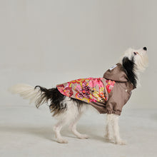 Görseli Galeri görüntüleyiciye yükleyin, Köpek Yağmurluk - Raincoat Series - Marji
