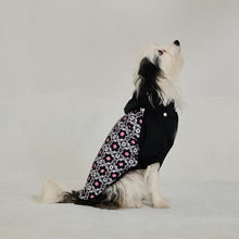 Görseli Galeri görüntüleyiciye yükleyin, Köpek Yağmurluk - Raincoat Series - Milla
