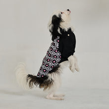 Görseli Galeri görüntüleyiciye yükleyin, Köpek Yağmurluk - Raincoat Series - Milla
