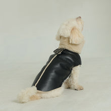 Görseli Galeri görüntüleyiciye yükleyin, Nappa Köpek Montu - Nappa Leather Jacket

