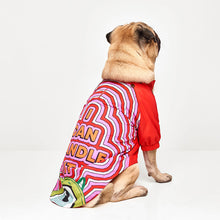 Load image into Gallery viewer, Köpek kıyafetleri- Köpek yağmurluğu- GODOİST
