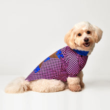 Load image into Gallery viewer, Köpek kıyafetleri- Köpek yağmurluğu- GODOİST
