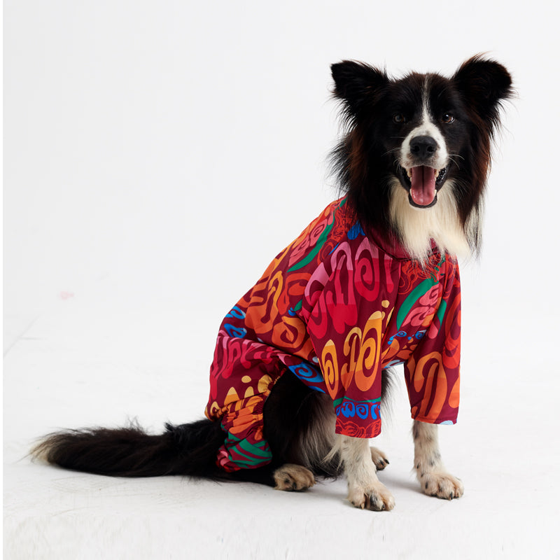 Köpek kıyafeti - köpek tulumu - GODOİST