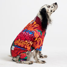 Load image into Gallery viewer, Köpek kıyafeti - köpek tulumu - GODOİST
