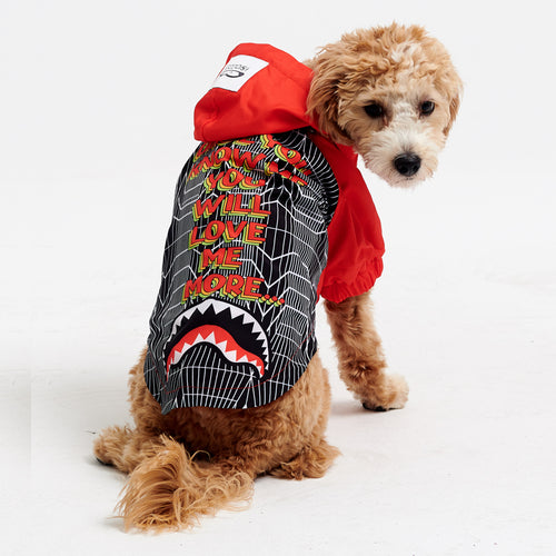 Köpek kıyafetleri- Köpek yağmurluğu- GODOİST